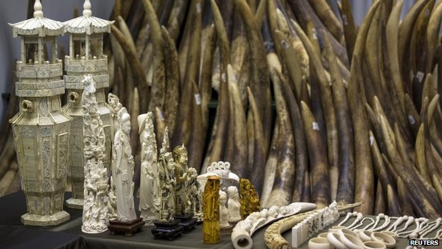 illegal ivory trade China Vietnam slaughtering endangered african elephants